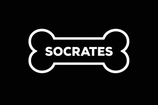 Personalized Dog Bone Name Decal | Custom Vinyl Dog Decal